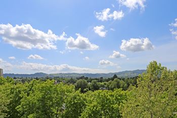 Spectacular views